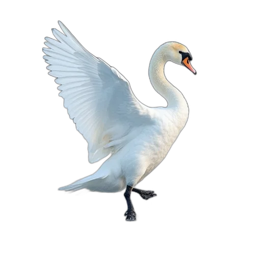animal, creature, staff, weapon transparent PNG cut-out