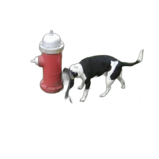 animal, bottle, staff, robot transparent PNG cut-out