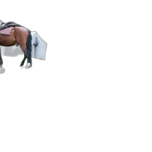 furniture, robot, animal, creature transparent PNG cut-out