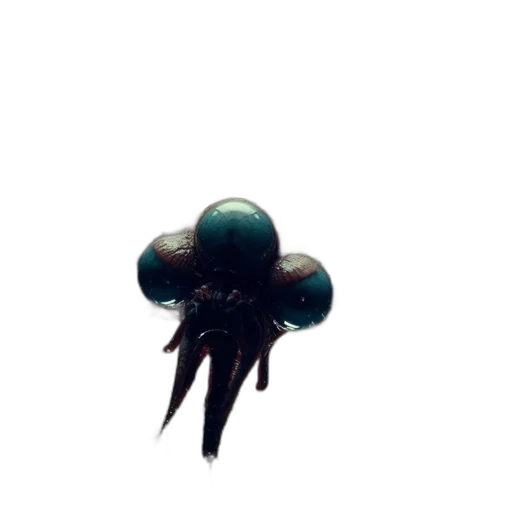 umbrella, creature, crown, hair transparent PNG cut-out