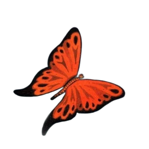 animal, flower, crown, creature transparent PNG cut-out