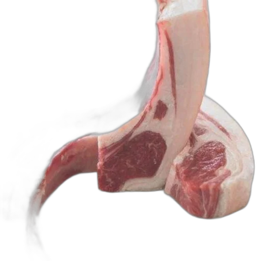 shoes, food, animal, weapon transparent PNG cut-out