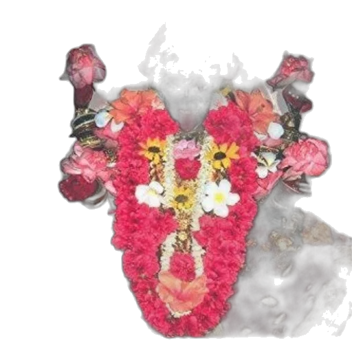 crown, jewelry, flower, mask transparent PNG cut-out