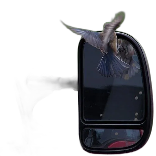 dragon, shoes, robot, car transparent PNG cut-out
