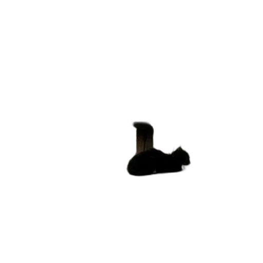 shoes, hat, animal, weapon transparent PNG cut-out