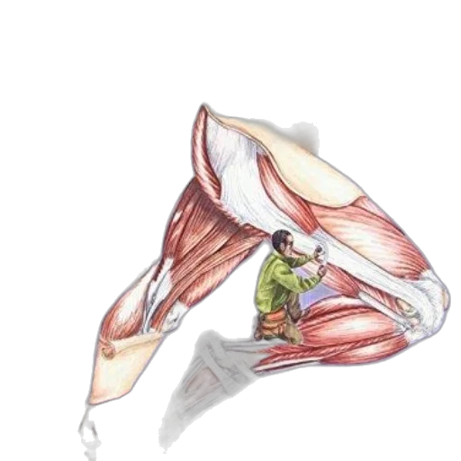 shoes, staff, weapon, jewelry transparent PNG cut-out