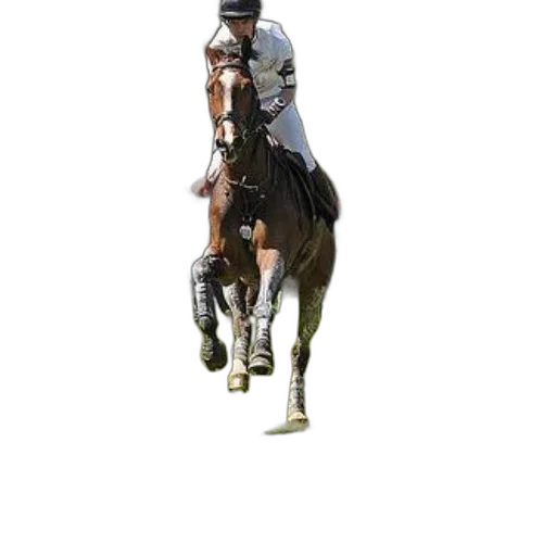animal, staff, sword, weapon transparent PNG cut-out