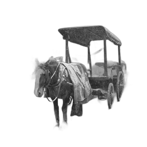 animal, car, furniture, robot transparent PNG cut-out