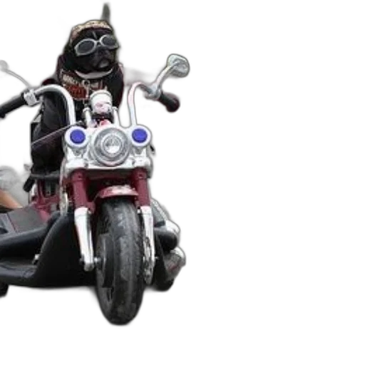 3d render, black, dog, wearing transparent PNG cut-out
