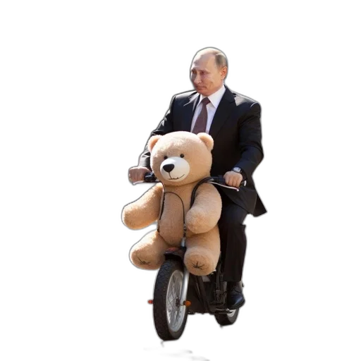 animal, jacket, elderly, man transparent PNG cut-out