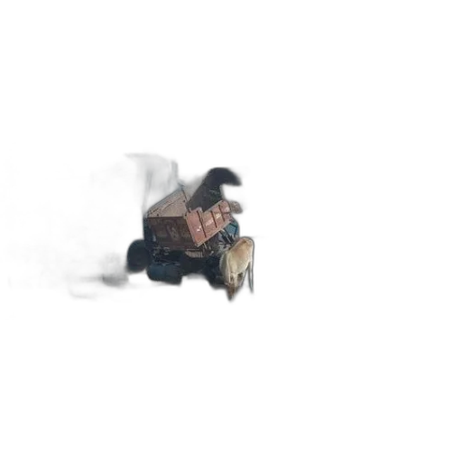 robot, animal, jacket, creature transparent PNG cut-out