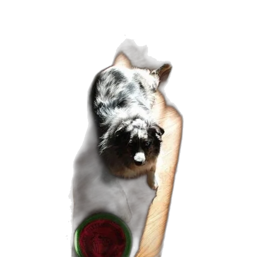 staff, animal, food, weapon transparent PNG cut-out