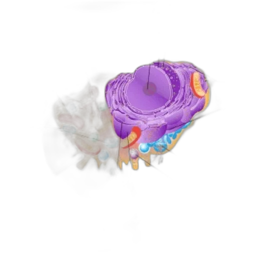 crown, flower, jewelry, weapon transparent PNG cut-out