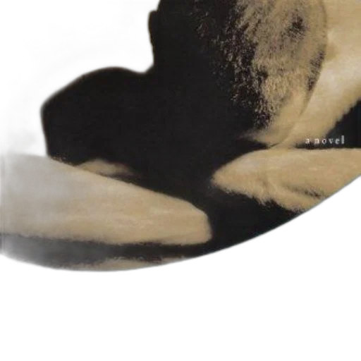 shoes, hat, mask, hair transparent PNG cut-out