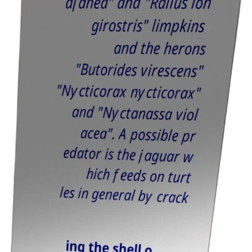 weapon, poster, text, multiple transparent PNG cut-out