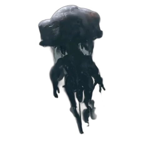 creature, hair, animal, crown transparent PNG cut-out