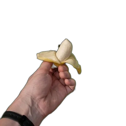food, weapon, staff, crown transparent PNG cut-out