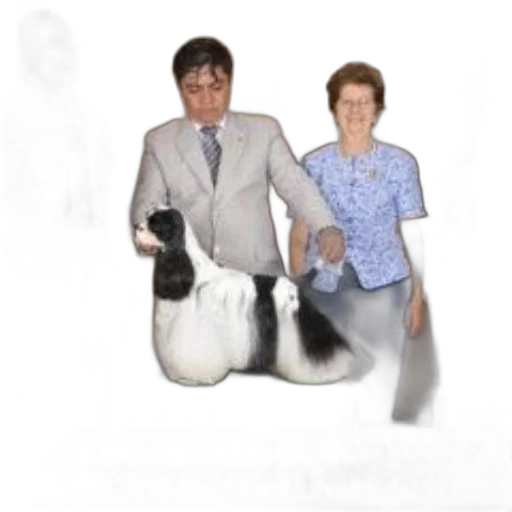animal, staff, shoes, umbrella transparent PNG cut-out