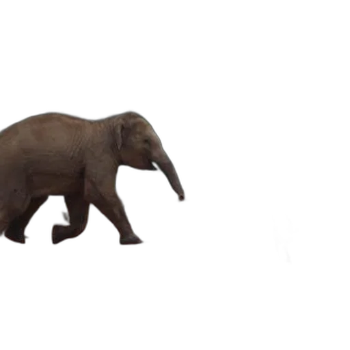animal, creature, weapon, staff transparent PNG cut-out