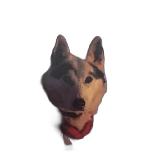 animal, face, creature, staff transparent PNG cut-out
