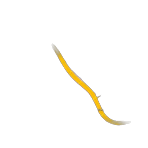 sword, staff, weapon, hair transparent PNG cut-out