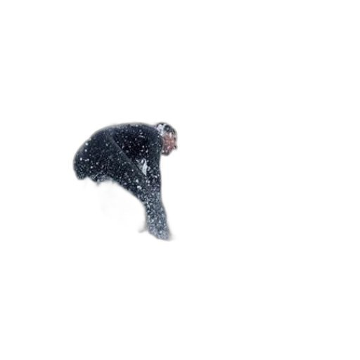 creature, umbrella, animal, hair transparent PNG cut-out