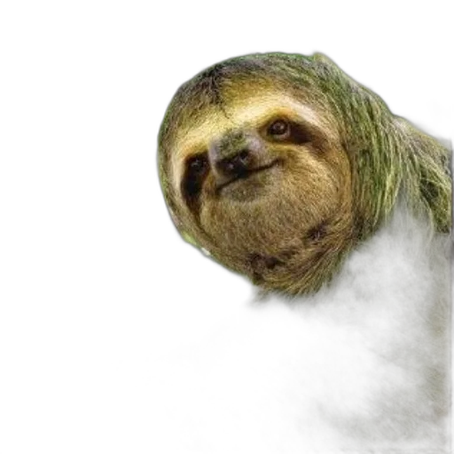 creature, animal, staff, hair transparent PNG cut-out
