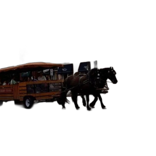 furniture, car, animal, weapon transparent PNG cut-out