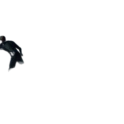 animal, dragon, creature, shoes transparent PNG cut-out