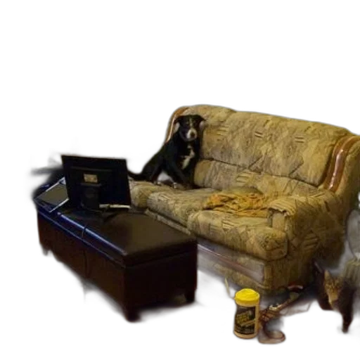 furniture, robot, animal, staff transparent PNG cut-out
