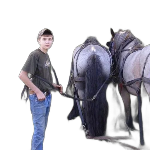 animal, creature, weapon, photorealistic transparent PNG cut-out