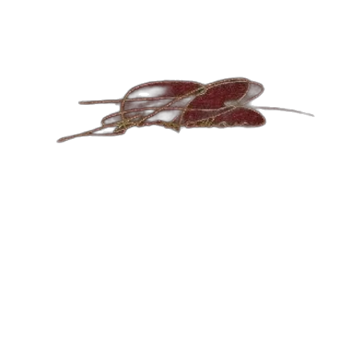 animal, creature, hair, crown transparent PNG cut-out