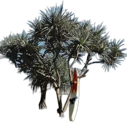 tree, staff, crown, weapon transparent PNG cut-out