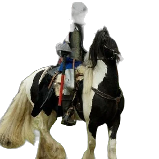 staff, hat, sword, weapon transparent PNG cut-out