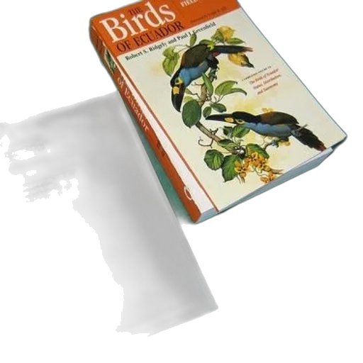weapon, bottle, staff, shoes transparent PNG cut-out