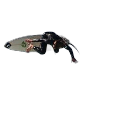 animal, creature, dragon, weapon transparent PNG cut-out