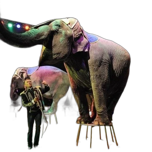 animal, creature, staff, weapon transparent PNG cut-out