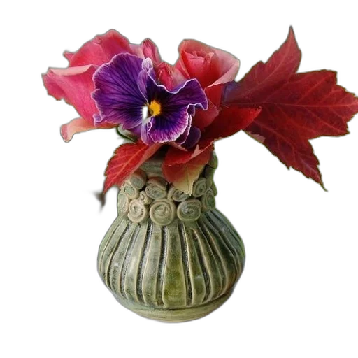 crown, flower, jewelry, hat transparent PNG cut-out