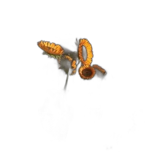 jewelry, flower, staff, crown transparent PNG cut-out