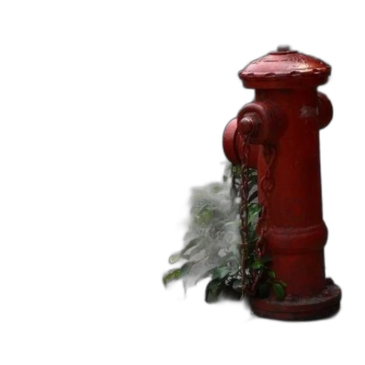 bottle, crown, furniture, flower transparent PNG cut-out