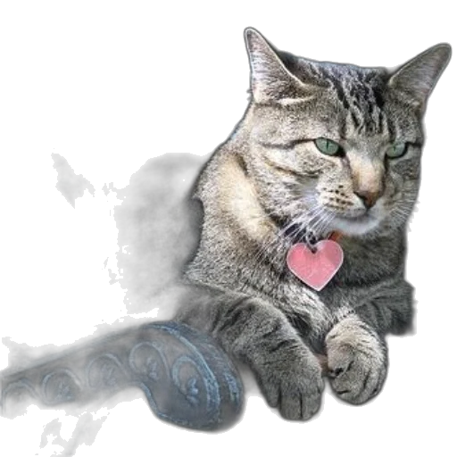 staff, animal, creature, photorealistic transparent PNG cut-out