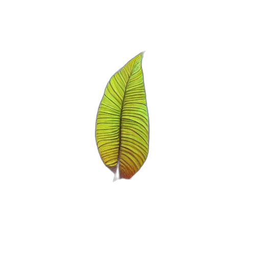 tree, hair, flower, animal transparent PNG cut-out