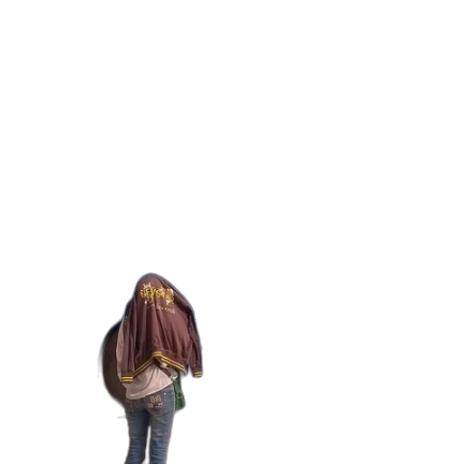 jacket, hair, dress, staff transparent PNG cut-out