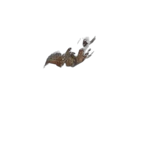 dragon, animal, creature, weapon transparent PNG cut-out