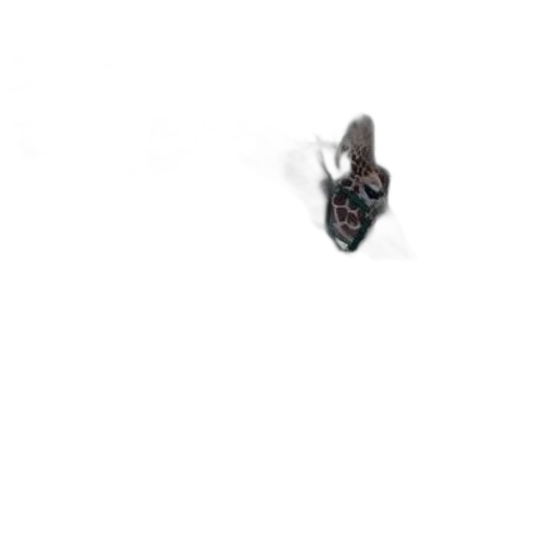 shoes, mask, jewelry, creature transparent PNG cut-out