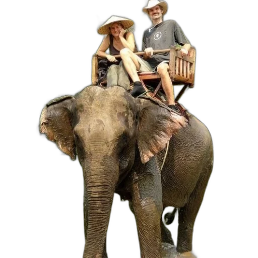 animal, hat, staff, concept art transparent PNG cut-out