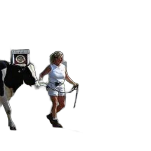 robot, mask, creature, animal transparent PNG cut-out