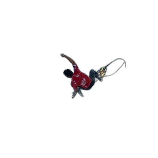 staff, jewelry, animal, robot transparent PNG cut-out