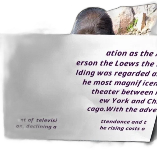 image, shows, sign, text transparent PNG cut-out