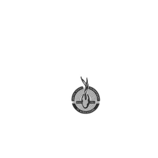 jewelry, crown, staff, hat transparent PNG cut-out